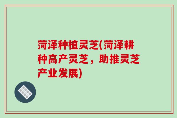 菏泽种植灵芝(菏泽耕种高产灵芝，助推灵芝产业发展)