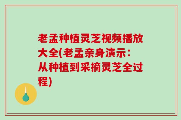 老孟种植灵芝视频播放大全(老孟亲身演示：从种植到采摘灵芝全过程)