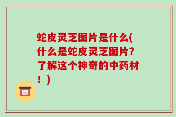 蛇皮灵芝图片是什么(什么是蛇皮灵芝图片？了解这个神奇的材！)