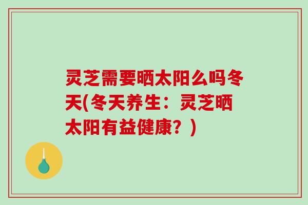 灵芝需要晒太阳么吗冬天(冬天养生：灵芝晒太阳有益健康？)