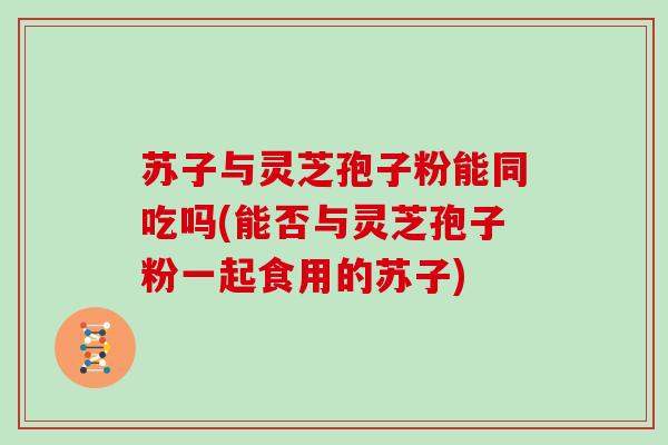 苏子与灵芝孢子粉能同吃吗(能否与灵芝孢子粉一起食用的苏子)