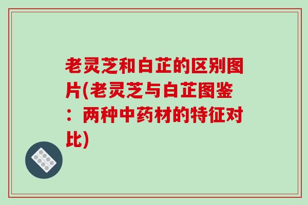 老灵芝和白芷的区别图片(老灵芝与白芷图鉴：两种材的特征对比)