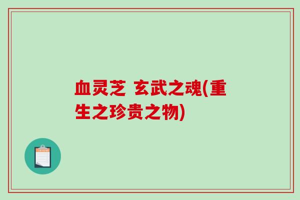 灵芝 玄武之魂(重生之珍贵之物)