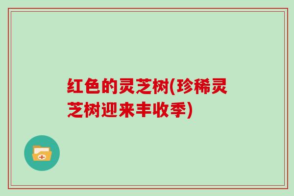 红色的灵芝树(珍稀灵芝树迎来丰收季)