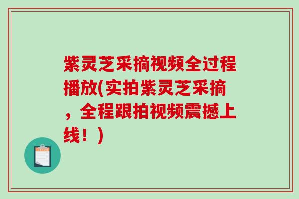 紫灵芝采摘视频全过程播放(实拍紫灵芝采摘，全程跟拍视频震撼上线！)