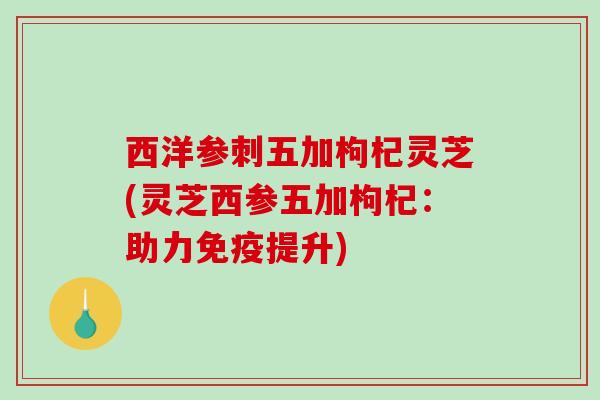 西洋参刺五加枸杞灵芝(灵芝西参五加枸杞：助力免疫提升)