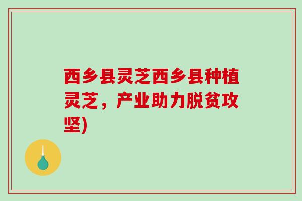 西乡县灵芝西乡县种植灵芝，产业助力脱贫攻坚)