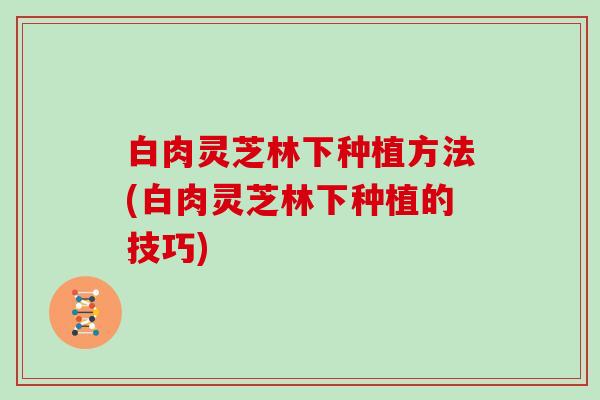 白肉灵芝林下种植方法(白肉灵芝林下种植的技巧)