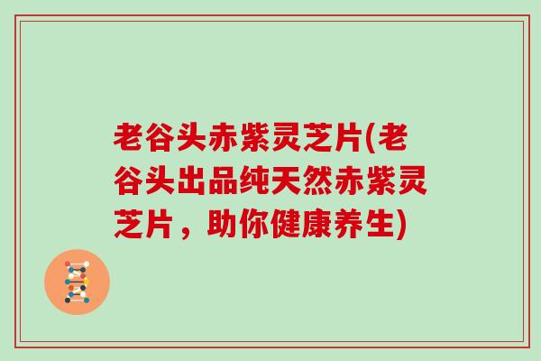 老谷头赤紫灵芝片(老谷头出品纯天然赤紫灵芝片，助你健康养生)