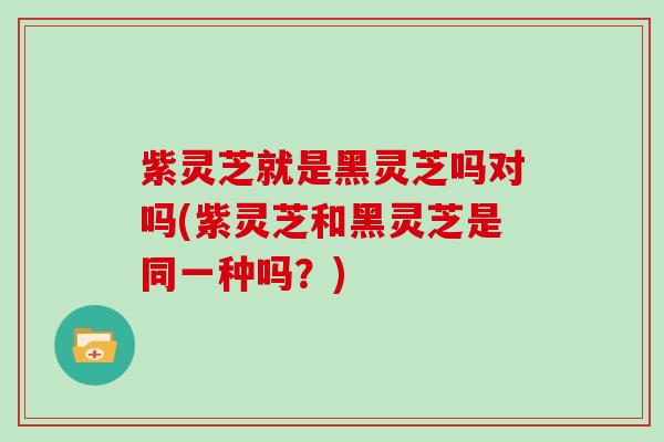 紫灵芝就是黑灵芝吗对吗(紫灵芝和黑灵芝是同一种吗？)