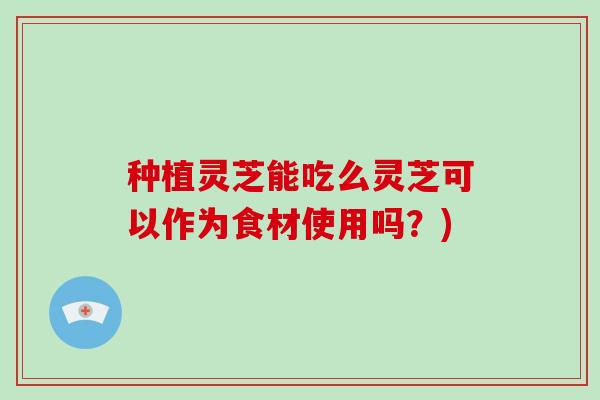 种植灵芝能吃么灵芝可以作为食材使用吗？)