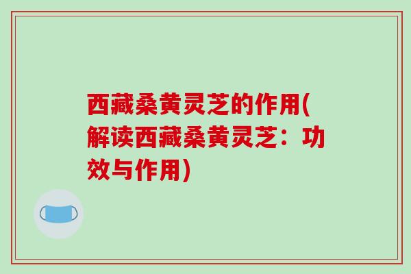 西藏桑黄灵芝的作用(解读西藏桑黄灵芝：功效与作用)
