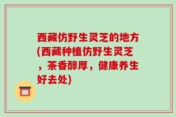 西藏仿野生灵芝的地方(西藏种植仿野生灵芝，茶香醇厚，健康养生好去处)