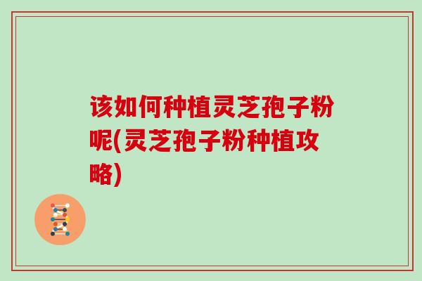 该如何种植灵芝孢子粉呢(灵芝孢子粉种植攻略)