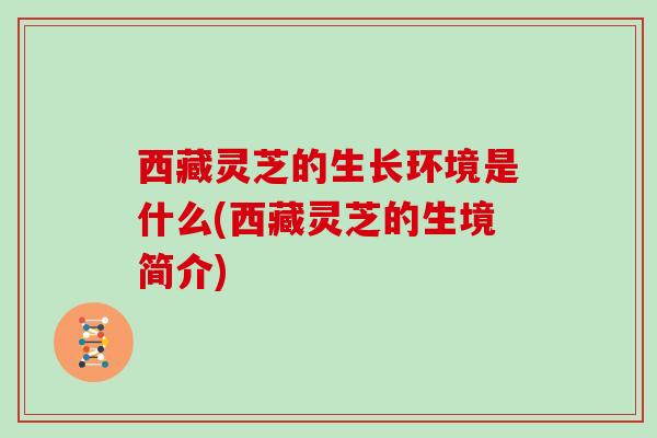 西藏灵芝的生长环境是什么(西藏灵芝的生境简介)