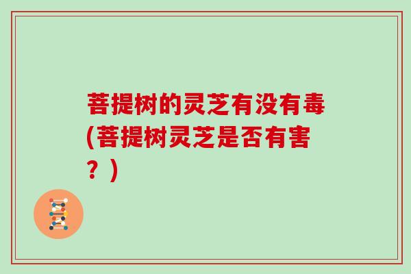 菩提树的灵芝有没有毒(菩提树灵芝是否有害？)