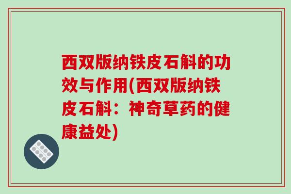 西双版纳铁皮石斛的功效与作用(西双版纳铁皮石斛：神奇草药的健康益处)