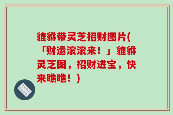 貔貅带灵芝招财图片(「财运滚滚来！」貔貅灵芝图，招财进宝，快来瞧瞧！)
