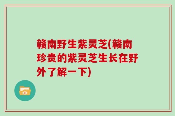 赣南野生紫灵芝(赣南珍贵的紫灵芝生长在野外了解一下)