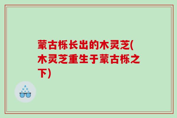 蒙古栎长出的木灵芝(木灵芝重生于蒙古栎之下)