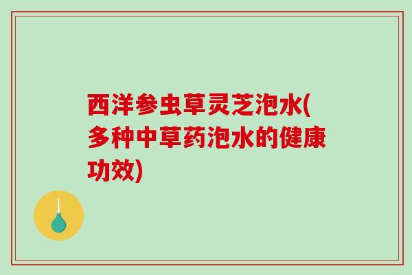 西洋参虫草灵芝泡水(多种中草药泡水的健康功效) 西洋参虫草灵芝泡水(多种中草药泡水的健康功效)