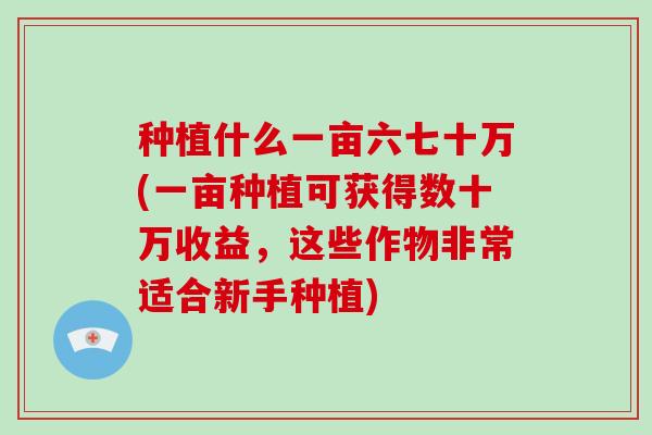 种植什么一亩六七十万(一亩种植可获得数十万收益，这些作物非常适合新手种植)