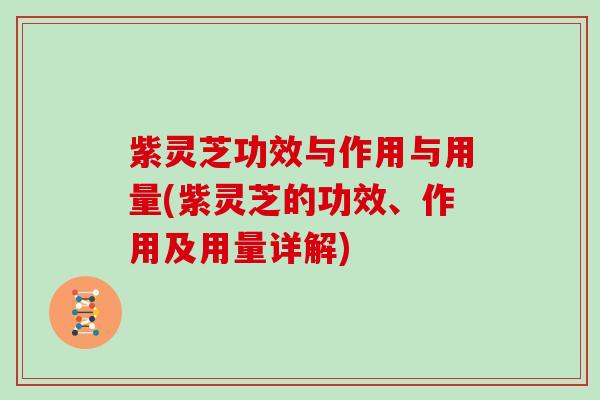 紫灵芝功效与作用与用量(紫灵芝的功效、作用及用量详解)