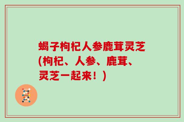 蝎子枸杞人参鹿茸灵芝(枸杞、人参、鹿茸、灵芝一起来！)