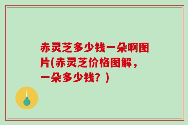 赤灵芝多少钱一朵啊图片(赤灵芝价格图解,一朵多少钱?) 赤灵芝多少钱一朵啊图片(赤灵芝价格图解,一朵多少钱?)