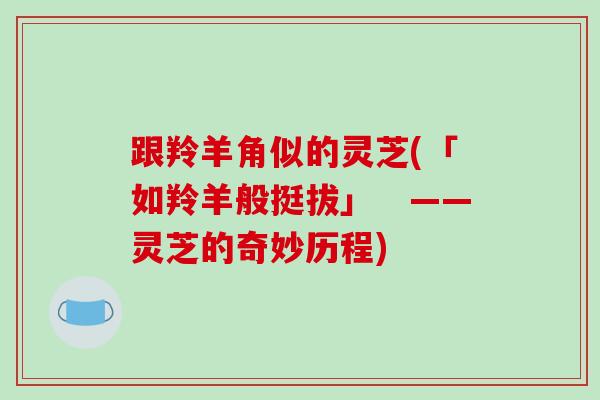 跟羚羊角似的灵芝(「如羚羊般挺拔」　——灵芝的奇妙历程)