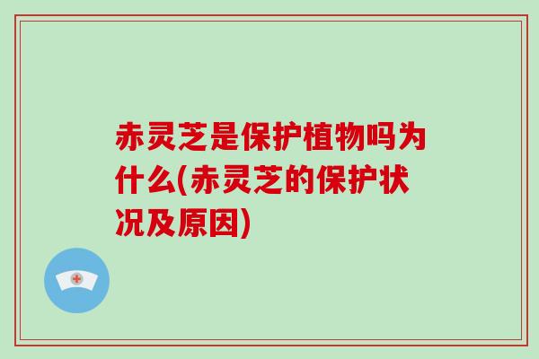 赤灵芝是保护植物吗为什么(赤灵芝的保护状况及原因)