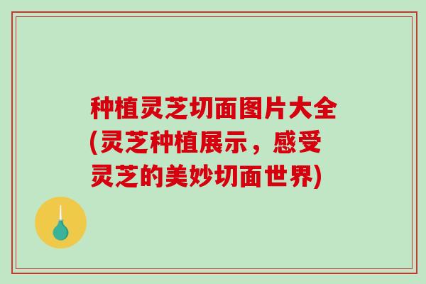 种植灵芝切面图片大全(灵芝种植展示，感受灵芝的美妙切面世界)