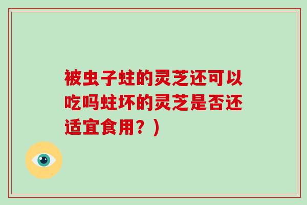 被虫子蛀的灵芝还可以吃吗蛀坏的灵芝是否还适宜食用？)