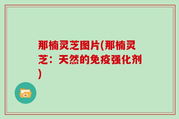 那楠灵芝图片(那楠灵芝：天然的免疫强化剂)