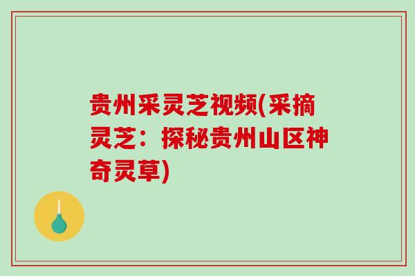贵州采灵芝视频(采摘灵芝：探秘贵州山区神奇灵草)