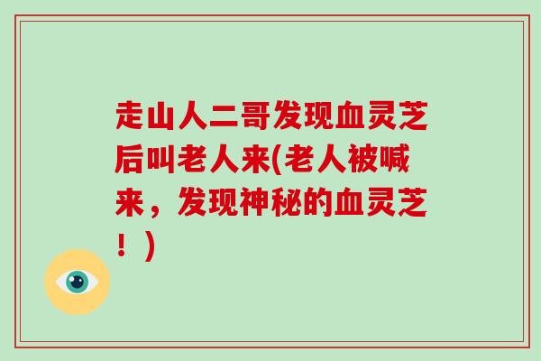 走山人二哥发现灵芝后叫老人来(老人被喊来，发现神秘的灵芝！)