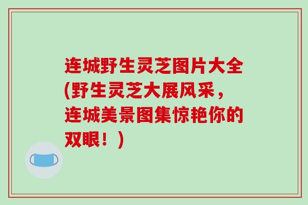 连城野生灵芝图片大全(野生灵芝大展风采,连城美景图集惊艳你的双眼!) 连城野生灵芝图片大全(野生灵芝大展风采,连城美景图集惊艳你的双眼!)