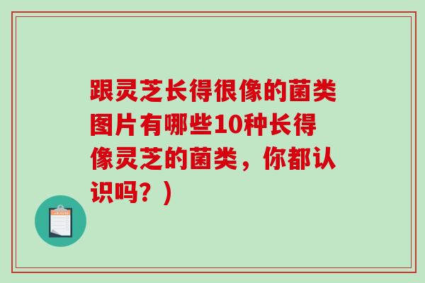 跟灵芝长得很像的菌类图片有哪些10种长得像灵芝的菌类，你都认识吗？)