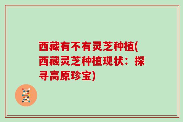 西藏有不有灵芝种植(西藏灵芝种植现状：探寻高原珍宝)