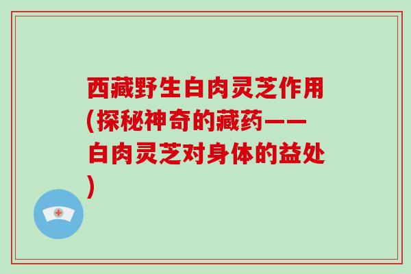 西藏野生白肉灵芝作用(探秘神奇的藏药——白肉灵芝对身体的益处)