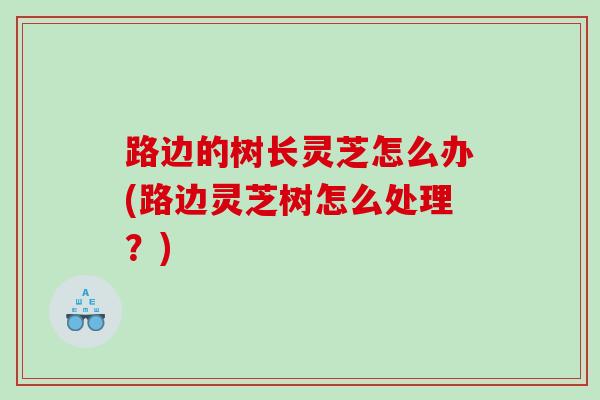 路边的树长灵芝怎么办(路边灵芝树怎么处理？)