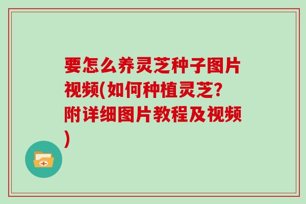 要怎么养灵芝种子图片视频(如何种植灵芝？附详细图片教程及视频)