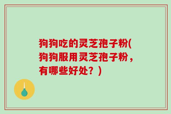 狗狗吃的灵芝孢子粉(狗狗服用灵芝孢子粉，有哪些好处？)