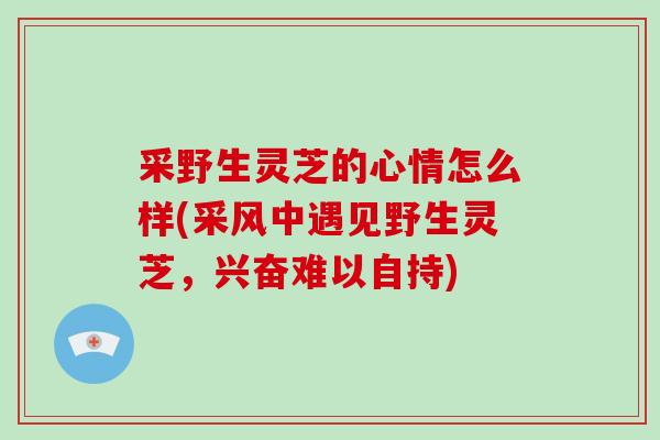 采野生灵芝的心情怎么样(采风中遇见野生灵芝，兴奋难以自持)