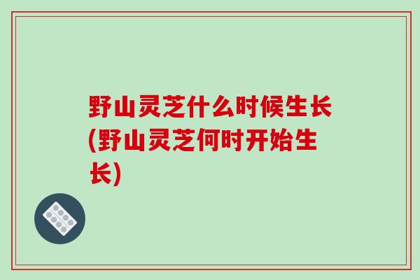 野山灵芝什么时候生长(野山灵芝何时开始生长)