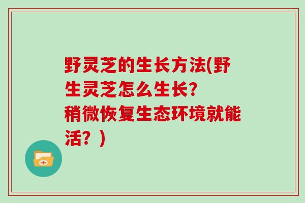 野灵芝的生长方法(野生灵芝怎么生长？  稍微恢复生态环境就能活？)
