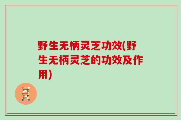 野生无柄灵芝功效(野生无柄灵芝的功效及作用)