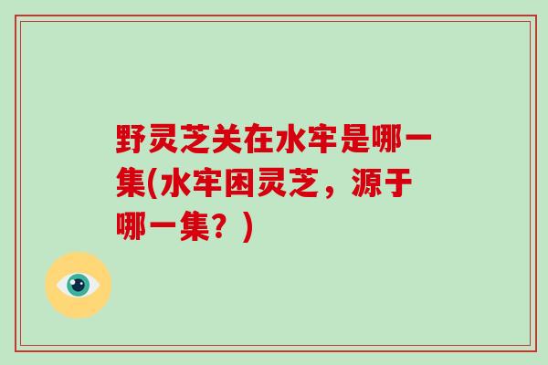 野灵芝关在水牢是哪一集(水牢困灵芝，源于哪一集？)