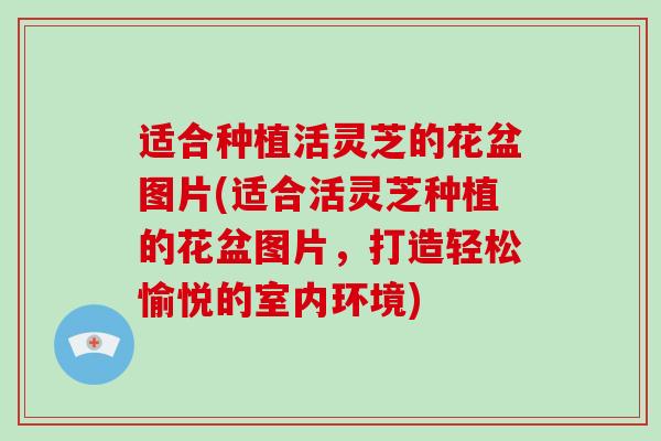 适合种植活灵芝的花盆图片(适合活灵芝种植的花盆图片，打造轻松愉悦的室内环境)