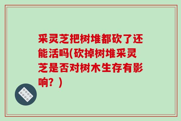 采灵芝把树堆都砍了还能活吗(砍掉树堆采灵芝是否对树木生存有影响？)